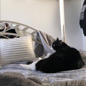 Meet your Posher, Courtnee